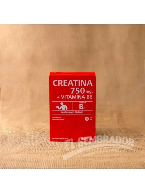 CREATINA 750MG +VITAMINA B6 X10