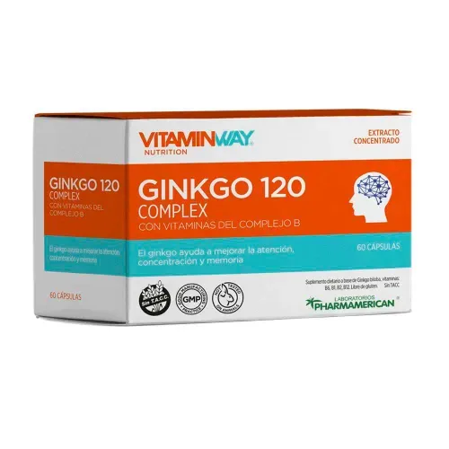 GINKGO 120 COMPLEX VITAMIN WAY caps.x 60